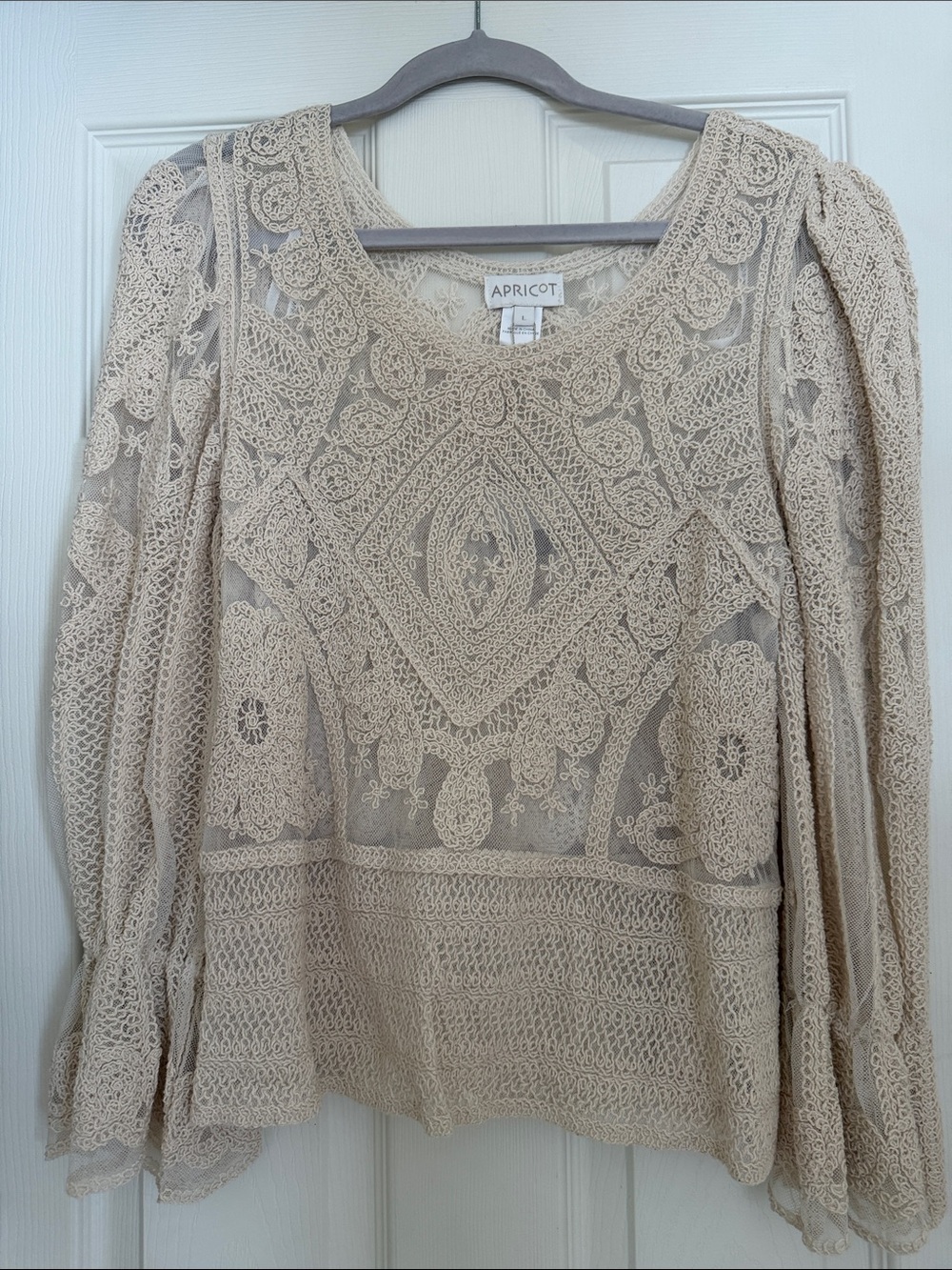 Beautiful embroidered lace blouse